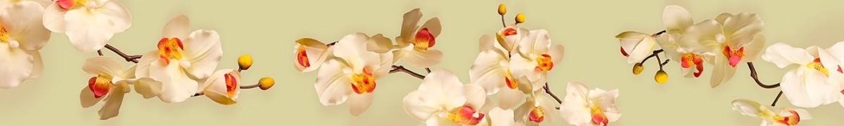 ArtSkinali-2554