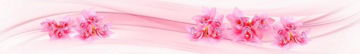 ArtSkinali-2574