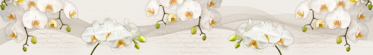 ArtSkinali-2579