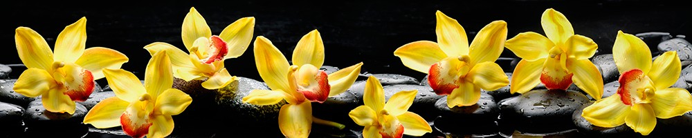 ArtSkinali-258