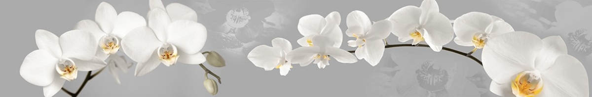 ArtSkinali-2586