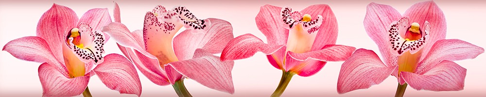 ArtSkinali-265