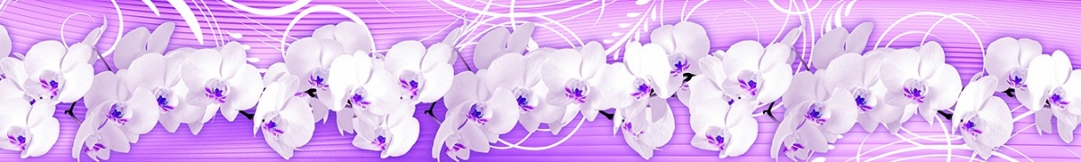 ArtSkinali-2685