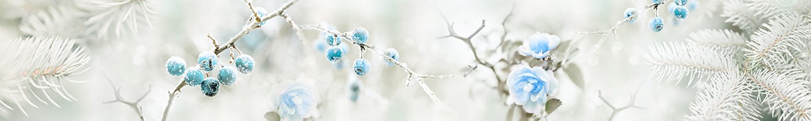 ArtSkinali-5915