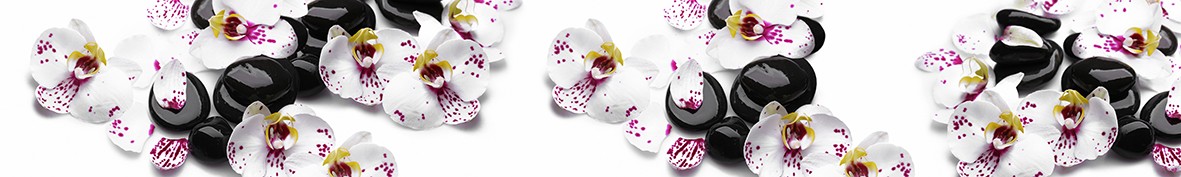 ArtSkinali-5959