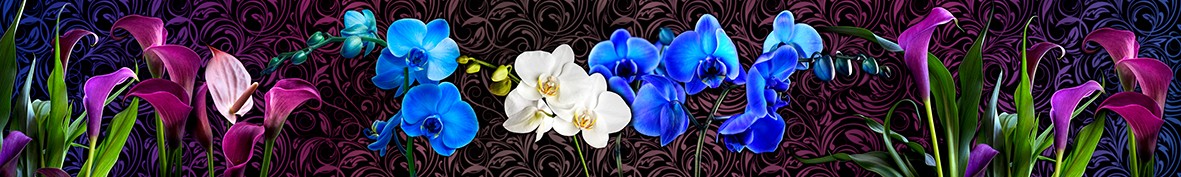ArtSkinali-5984