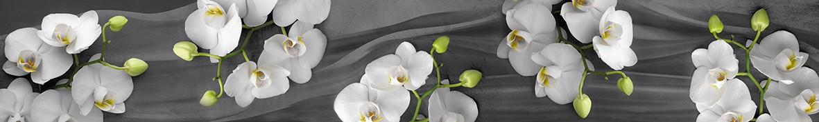 ArtSkinali-6079