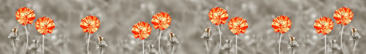 ArtSkinali-6142