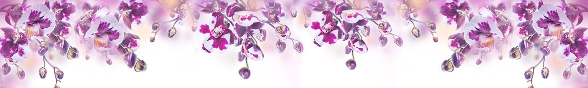 ArtSkinali-6204