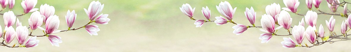ArtSkinali-6208