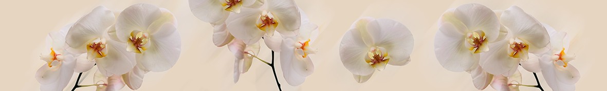 ArtSkinali-6210