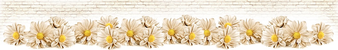 ArtSkinali-6249