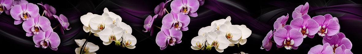 ArtSkinali-6264