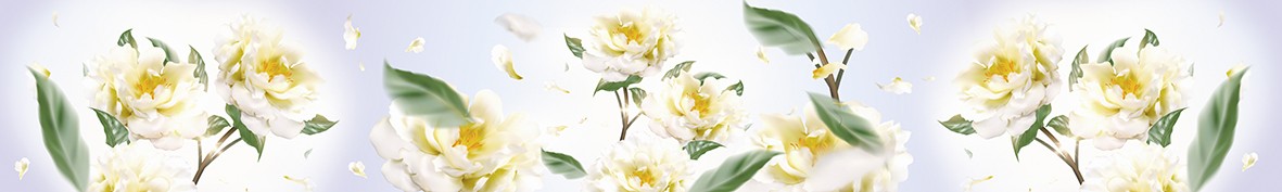 ArtSkinali-6265