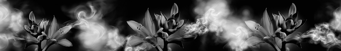 ArtSkinali-6271