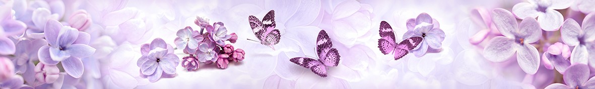 ArtSkinali-6298