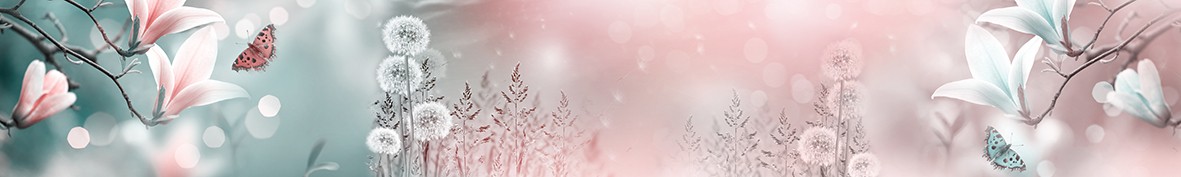 ArtSkinali-6348