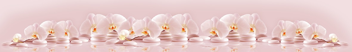 ArtSkinali-6369