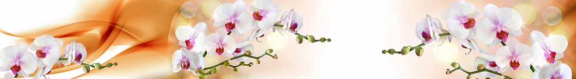ArtSkinali-6373
