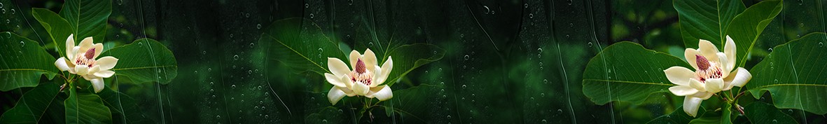 ArtSkinali-6384