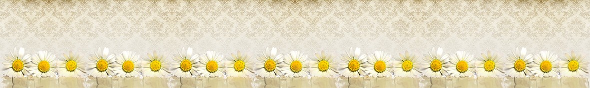 ArtSkinali-6611