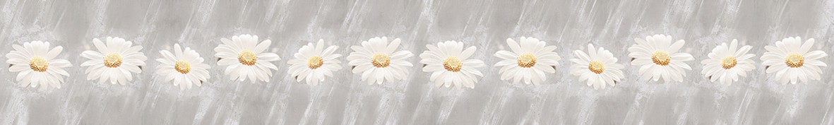 ArtSkinali-6742