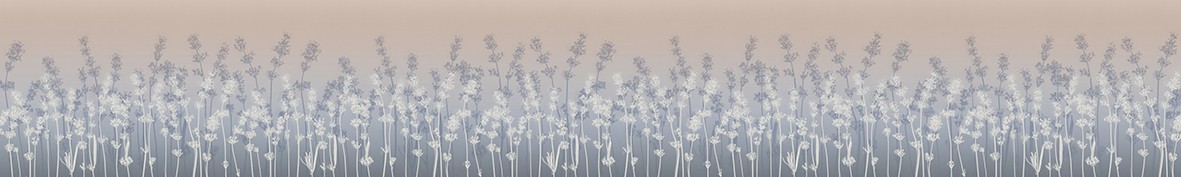 ArtSkinali-6788