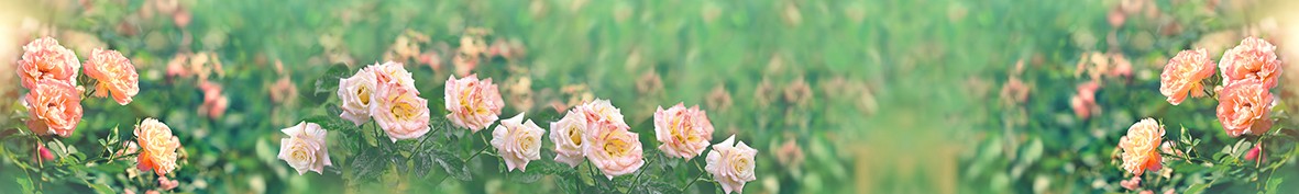ArtSkinali-6812