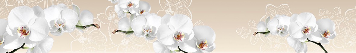ArtSkinali-6889