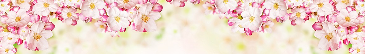 ArtSkinali-6921