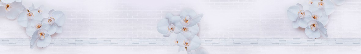 ArtSkinali-7042