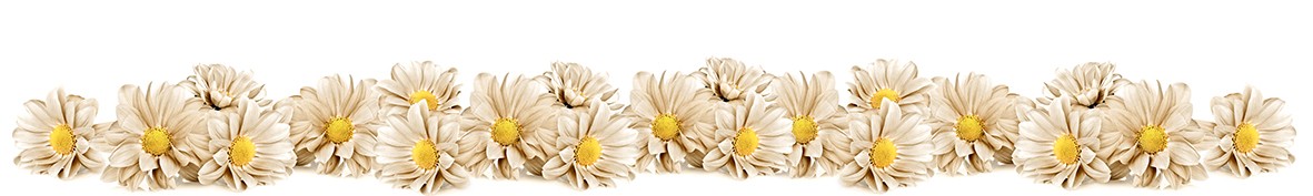 ArtSkinali-7054