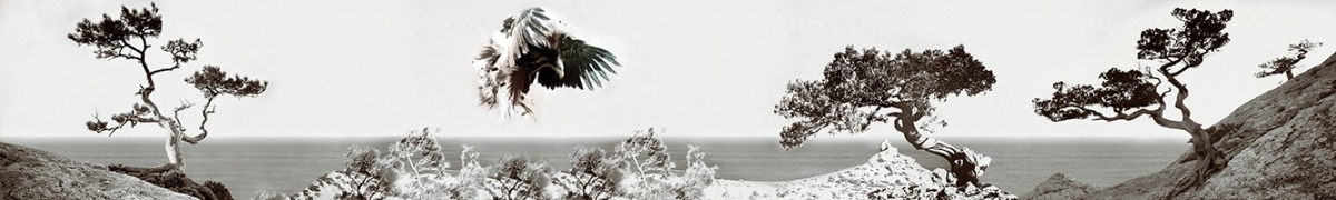 ArtSkinali-810