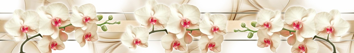 ArtSkinali-2644