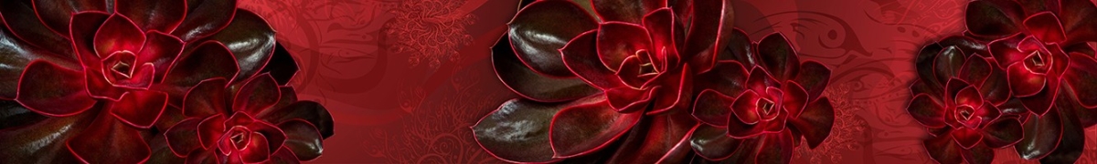 ArtSkinali-2834
