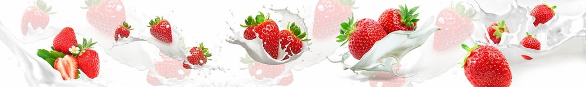 ArtSkinali-2882