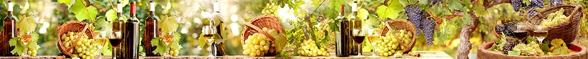 ArtSkinali-3972