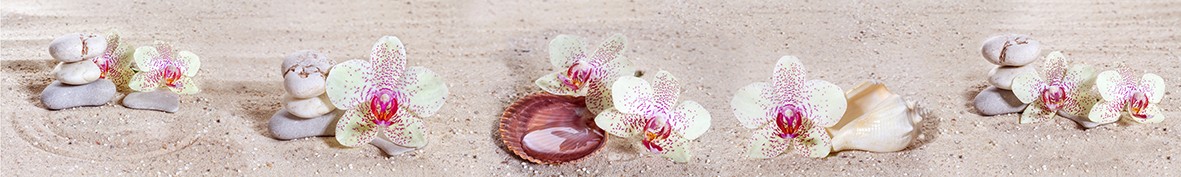 ArtSkinali-4903